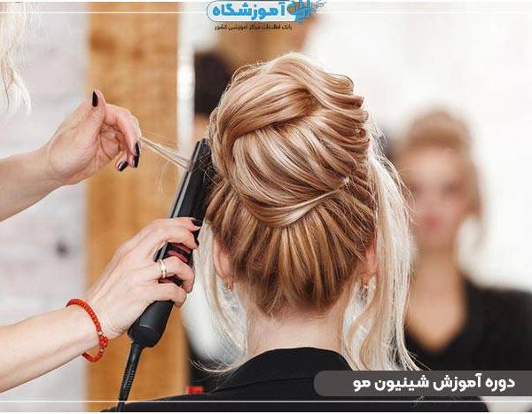 chignon-training-cours-3 مدرک شینیون مو