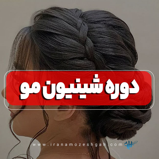 دوره آموزش شینیون مو