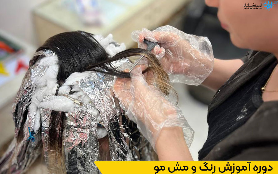 دوره آموزش رنگ و مش مو