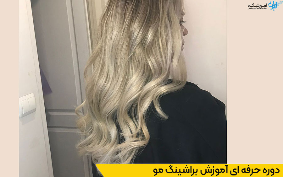دوره آموزش براشینگ مو