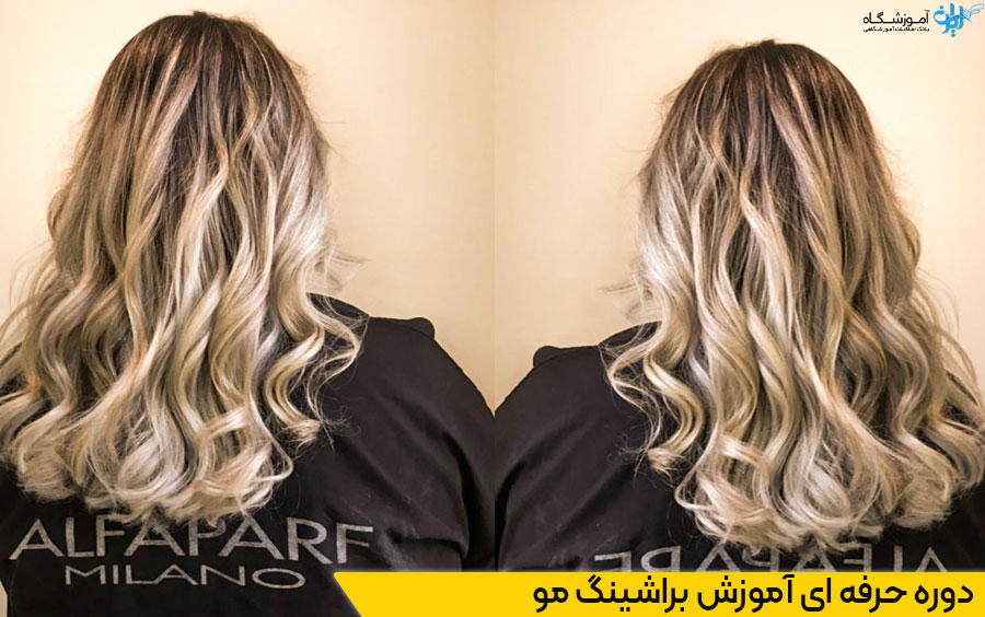 دوره آموزش براشینگ مو