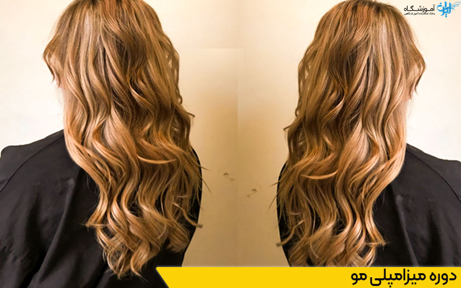 دوره میزامپلی مو