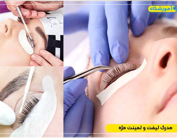 Eyelash lift and laminating certificate