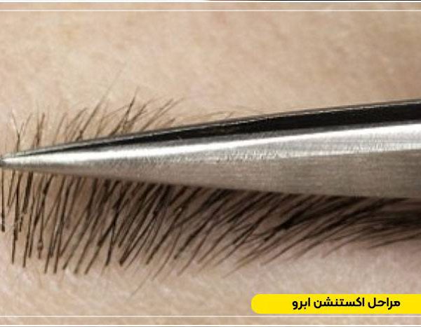 Eyebrow extension training 1 