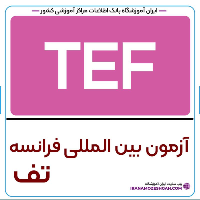 آزمون TEF