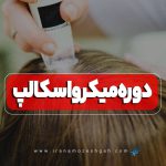 دوره آموزش میکرواسکالپ