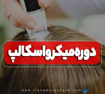 دوره آموزش میکرواسکالپ