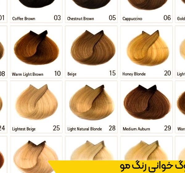 دوره آموزش کاتالوگ خوانی رنگ مو