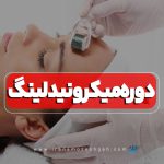دوره آموزش میکرونیدلینگ