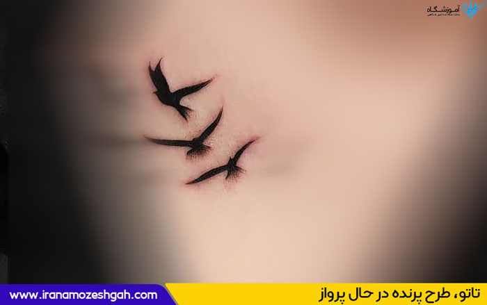 طرح تاتو پرنده در حال پرواز