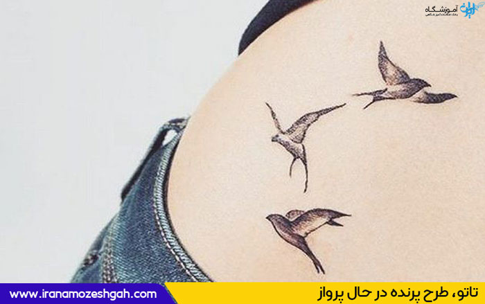 طرح تاتو پرنده در حال پرواز