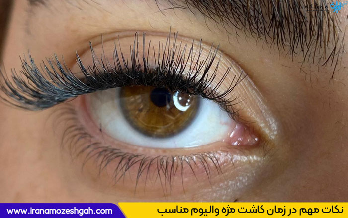 مژه والیوم چییست