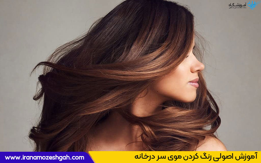 آموزش اصولی رنگ کردن مو در خانه