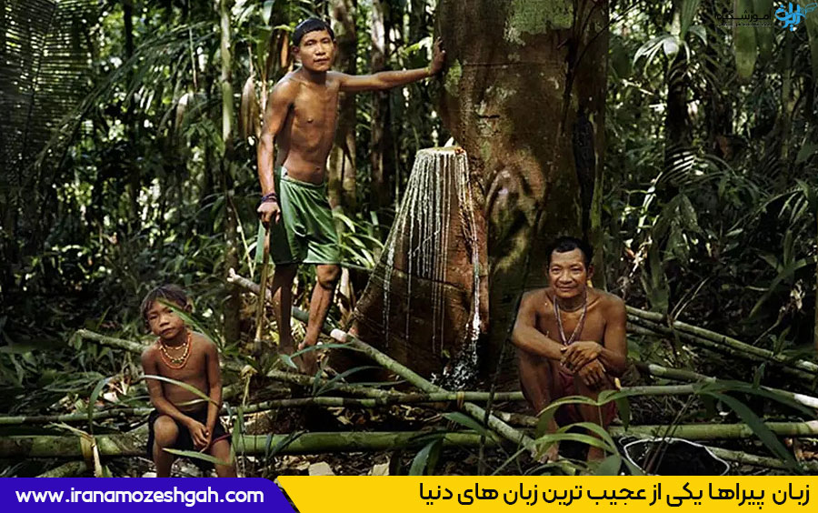 زبان پیراها