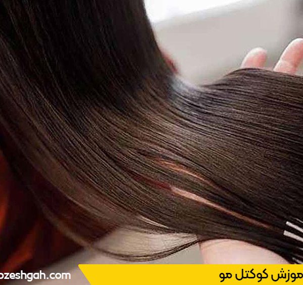 دوره آموزش ابریشم سازی مو یا کوکتل