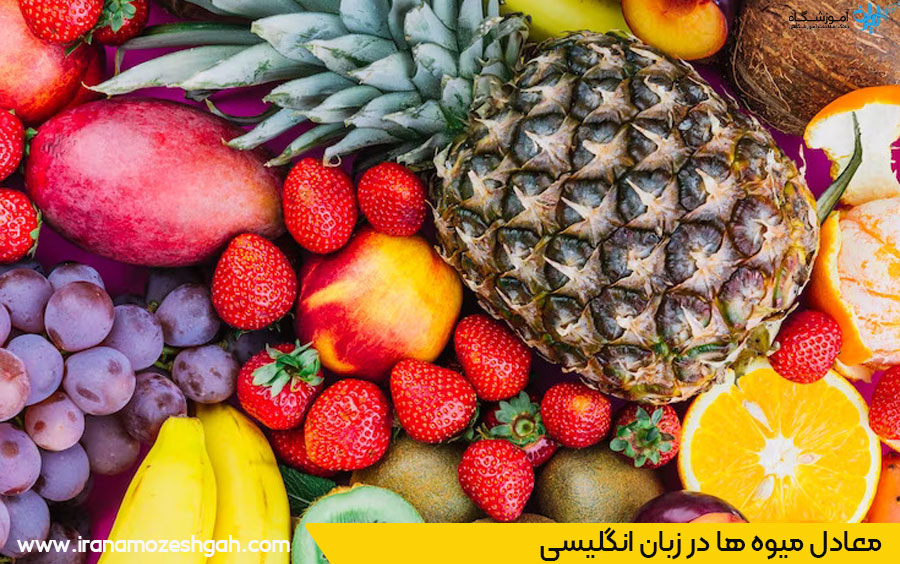 اسامی میوه ها به زبان انگلیسی