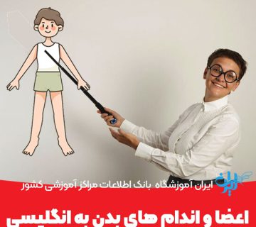 اعضا و اندام های بدن به انگلیسی
