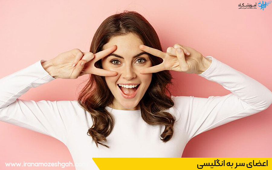 اعضای سر به انگلیسی