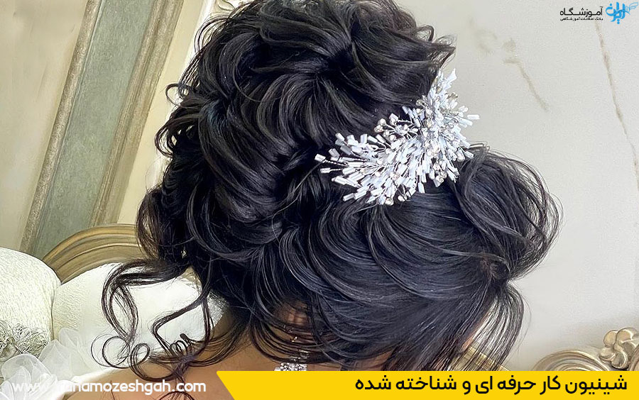 شینیون کار حرفه ای