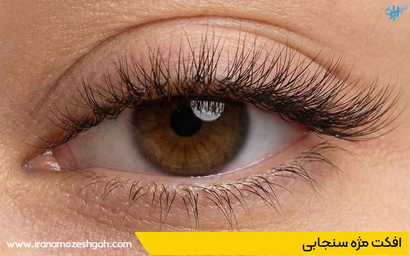 افکت مژه سنجابی