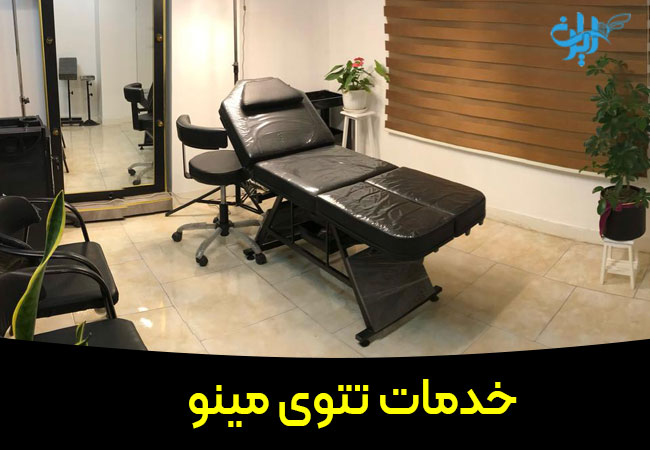 خدمات تتوی مینو