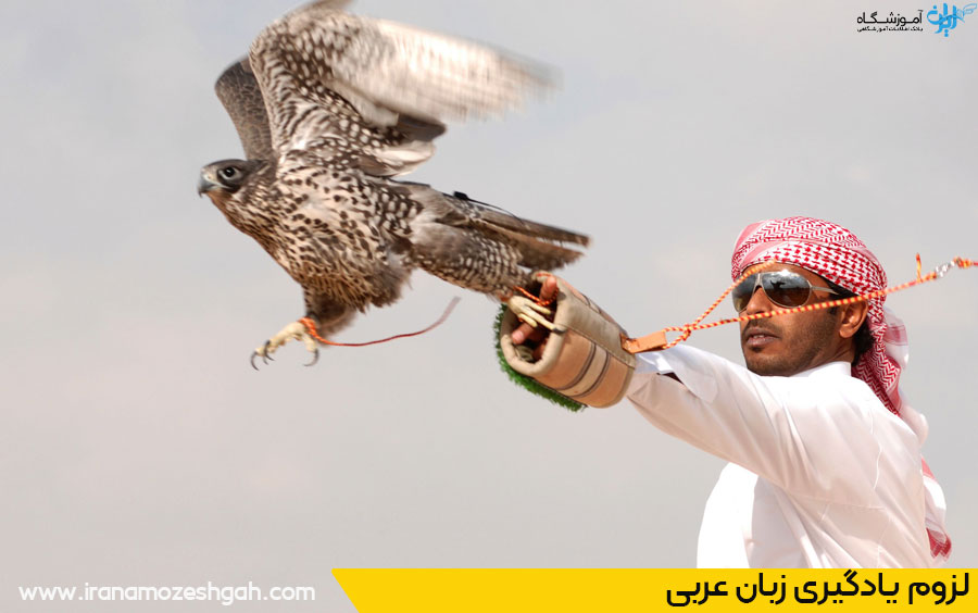 چرا زبان عربی بیاموزیم