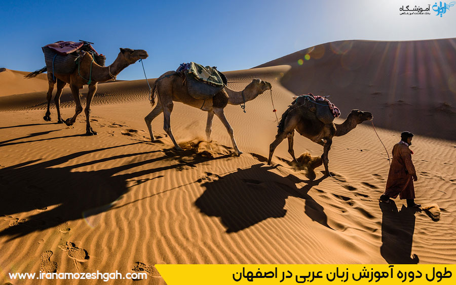 طول دوره آموزش زبان عربی