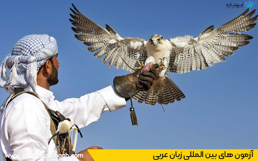 آزمون بین المللی زبان عربی