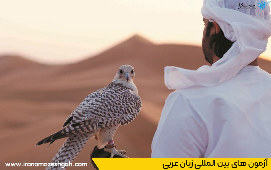 آزمون بین المللی زبان عربی