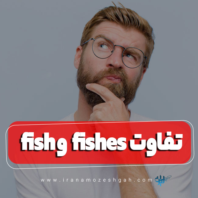 تفاوت fish و fishes در زبان انگلیسی