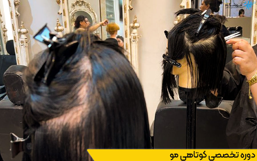 دوره تخصصی کوتاهی مو