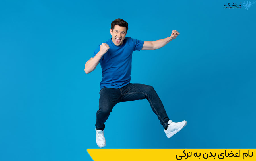 نام اعضای بدن به ترکی