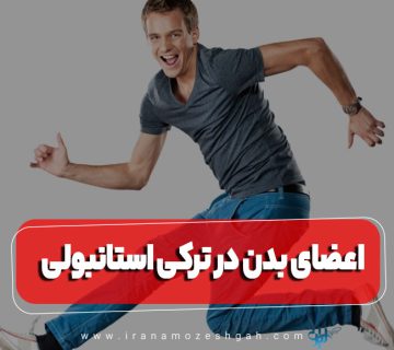 نام اعضای پایین تنه بدن به ترکی