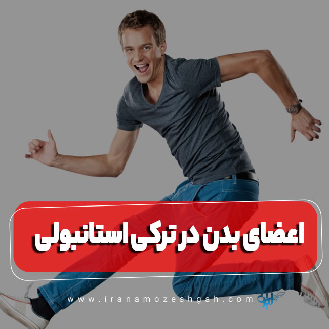 نام اعضای پایین تنه بدن به ترکی