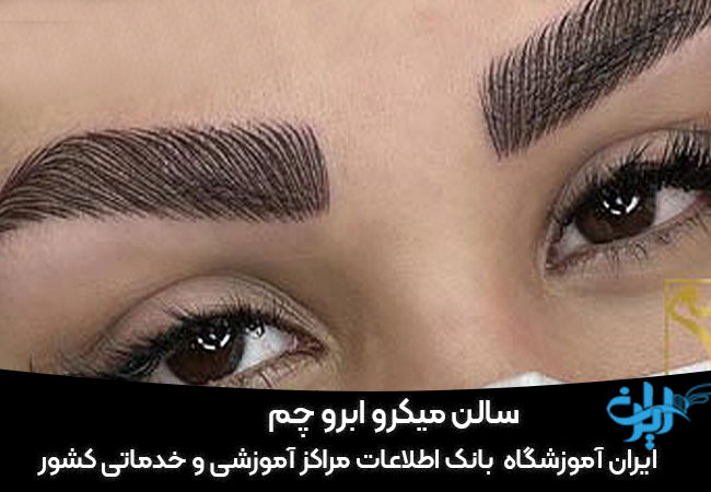 مرکز میکرو چم