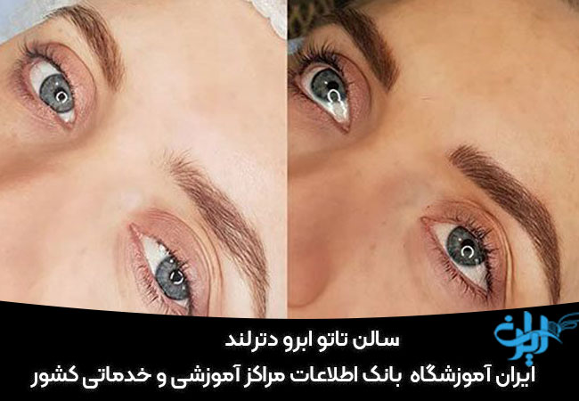 سالن میکرو دترلند