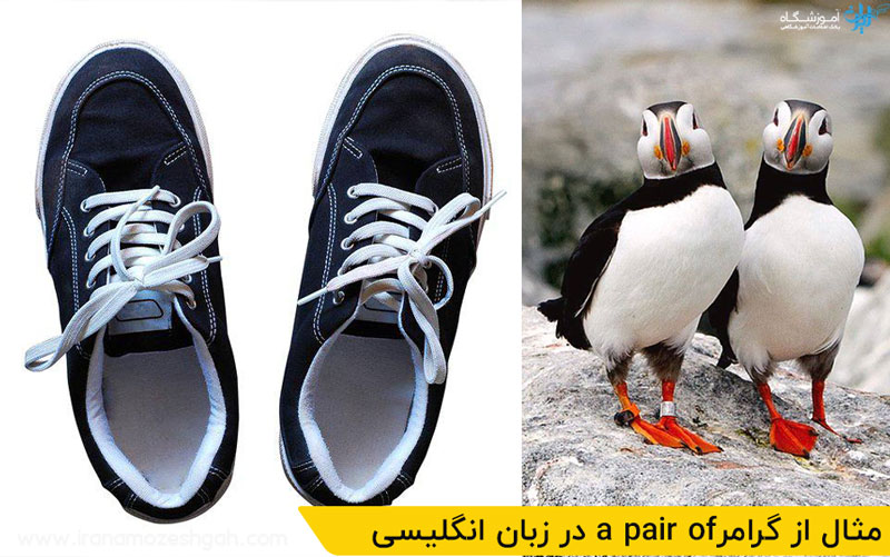 گرامرa pair-of در زبان انگلیسی