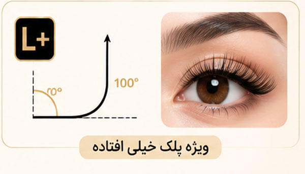 انحنای مژه والیومL+