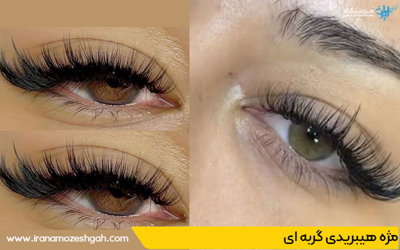 مژه هیبریدی گربه ای