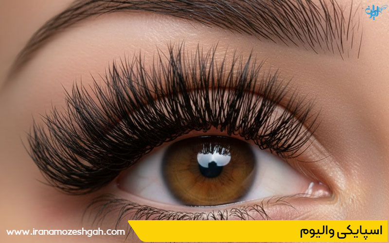 اسپایکی والیوم