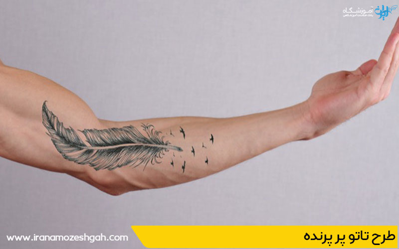 طرح تاتو پر پرنده