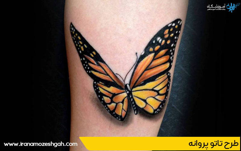 طرح تتو پروانه