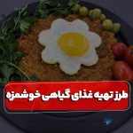 طرز تهیه غذای گیاهی خوشمزه