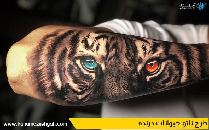 طرح تاتو حیوانات درنده