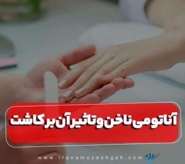 نقش طلایی آناتومی ناخن در کاشت بی‌نقص