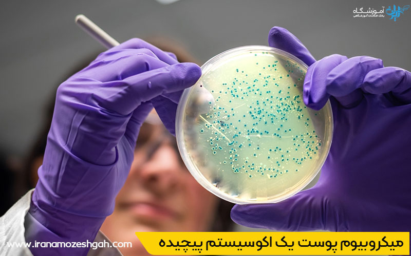 میکروبیوم پوست در سلامت پوست