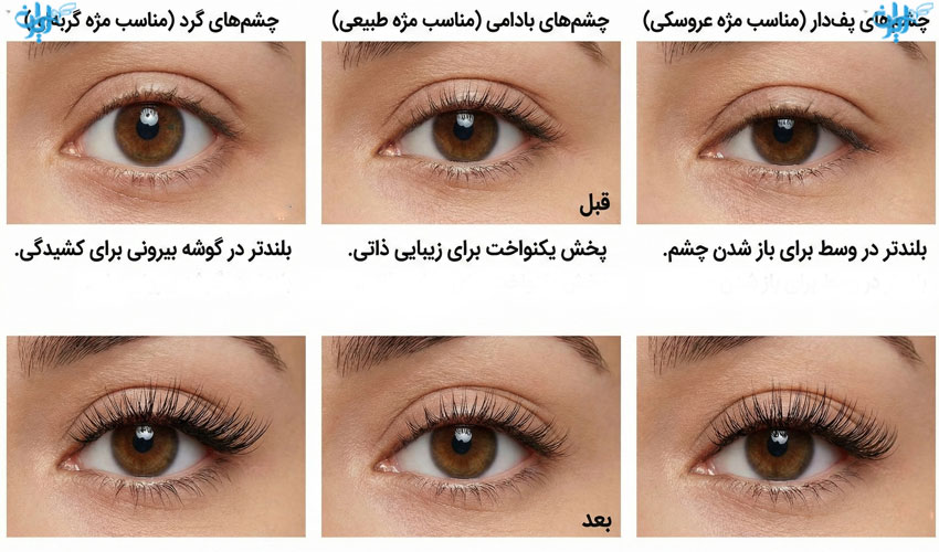 کدوم مژه برای فرم چشم من مناسب هست
