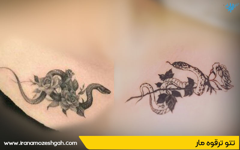 تتو ترقوه مار