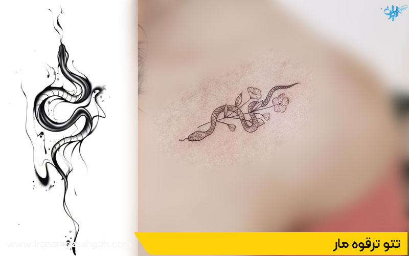 تتو ترقوه مار