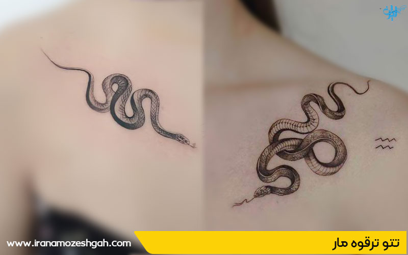 تتو ترقوه مار